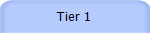 Tier 1