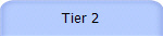 Tier 2