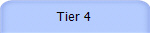 Tier 4